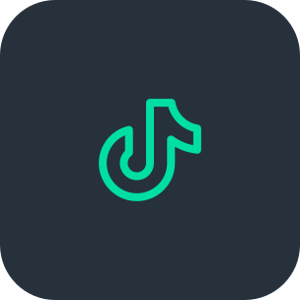 TikTok Barra module